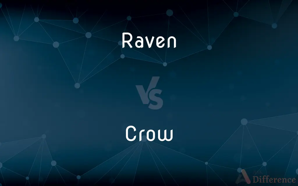 Raven vs. Crow — What's the Difference?