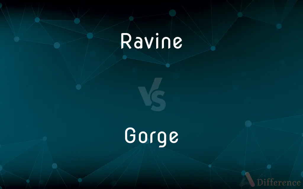 Ravine vs. Gorge — What's the Difference?