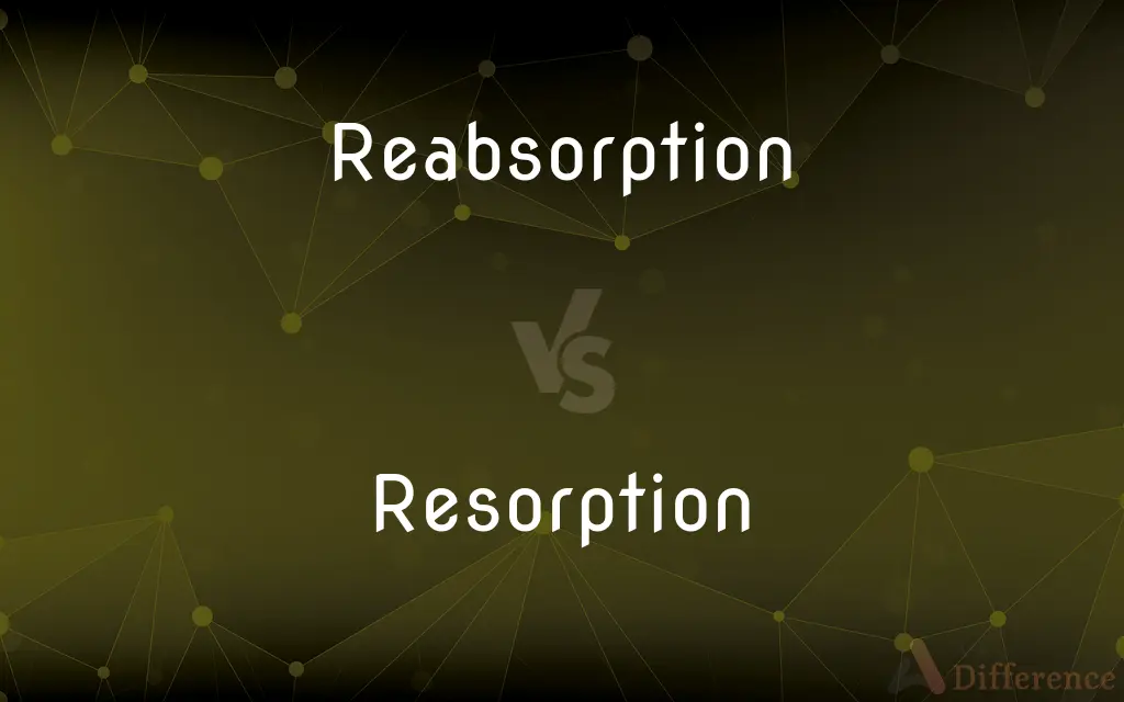 Reabsorption vs. Resorption — What's the Difference?