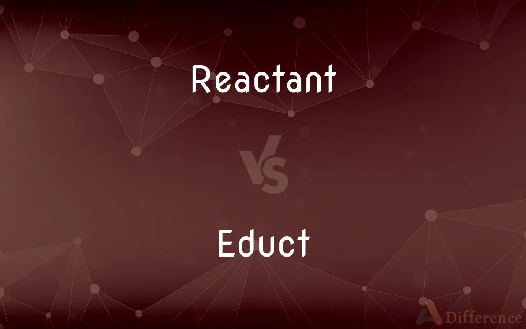 Reactant vs. Educt — What's the Difference?