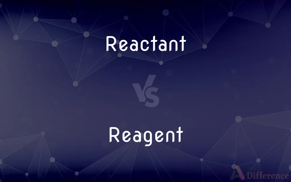 Reactant vs. Reagent — What's the Difference?