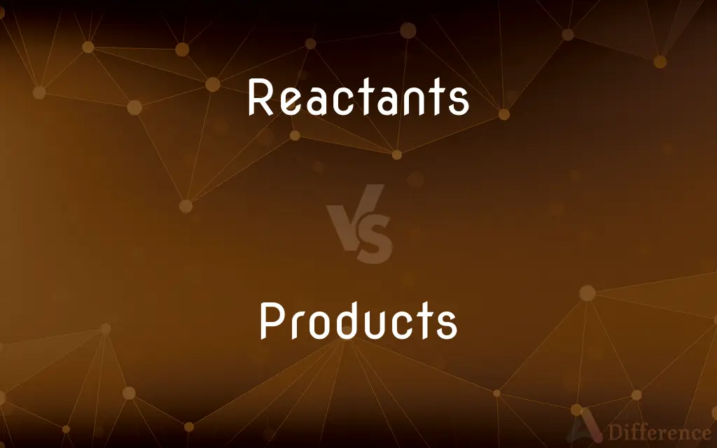 Reactants vs. Products — What's the Difference?