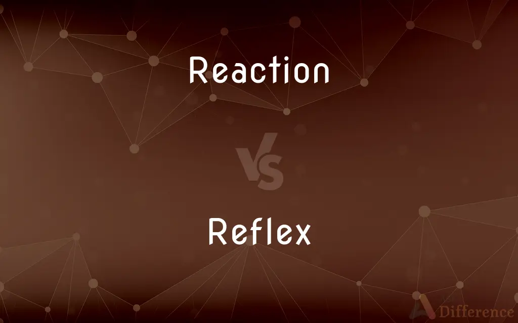 Reaction vs. Reflex — What's the Difference?
