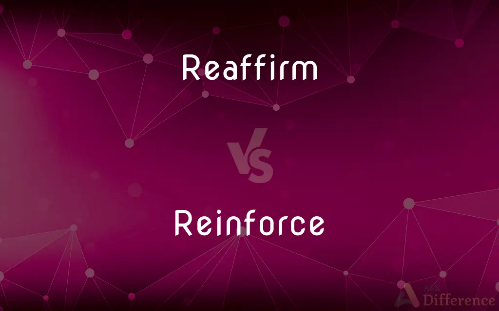 Reaffirm vs. Reinforce — What's the Difference?