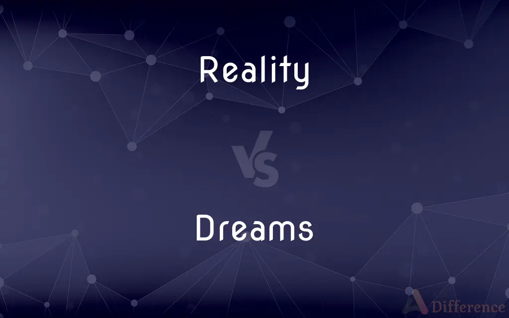 Reality vs. Dreams — What's the Difference?