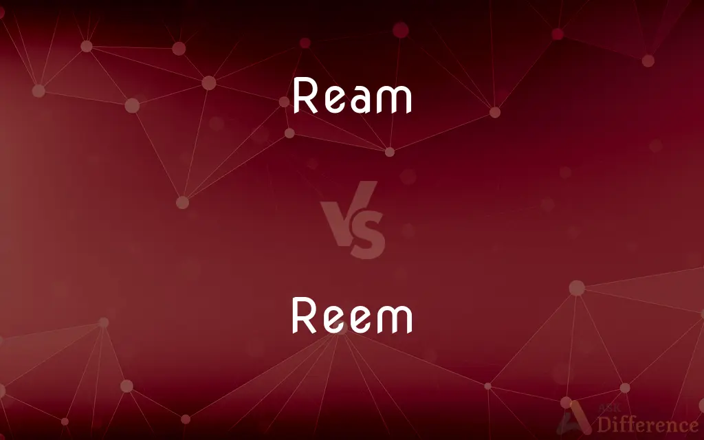 Ream vs. Reem — What's the Difference?