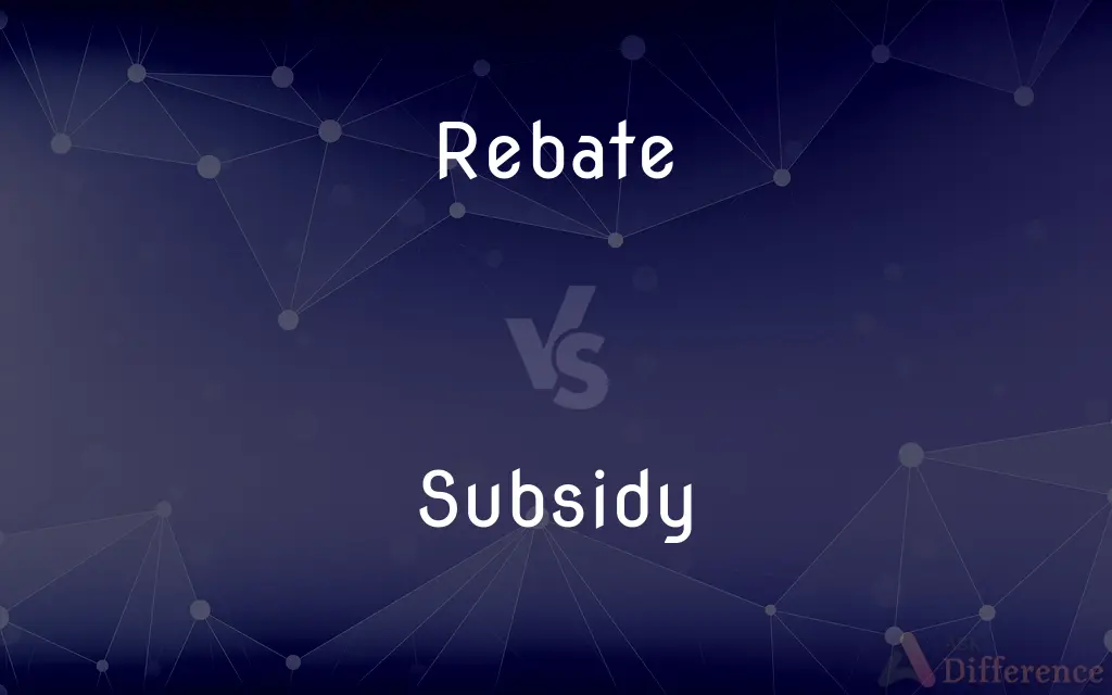 Rebate vs. Subsidy — What's the Difference?