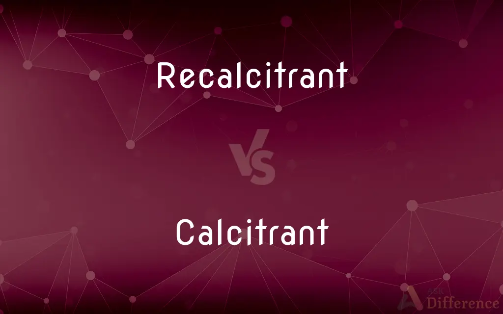 Recalcitrant vs. Calcitrant — What's the Difference?