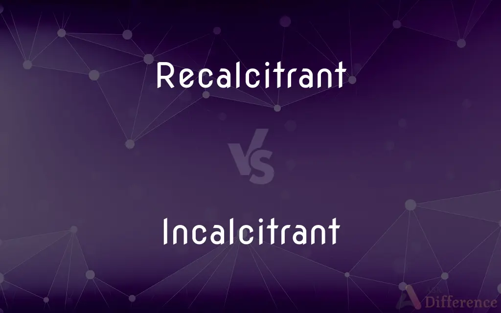Recalcitrant vs. Incalcitrant — Which is Correct Spelling?