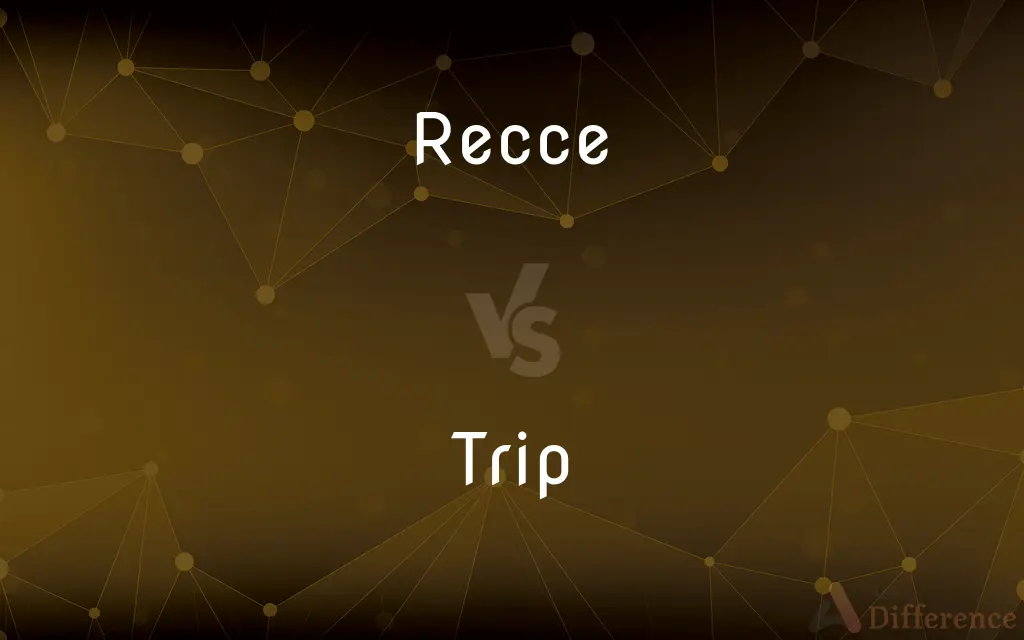 Recce vs. Trip — What's the Difference?
