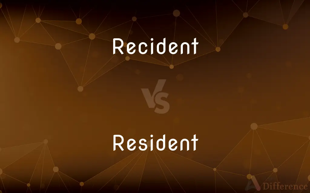 Recident vs. Resident — Which is Correct Spelling?