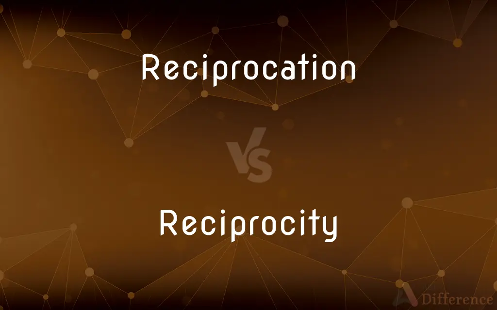 Reciprocation vs. Reciprocity — What's the Difference?