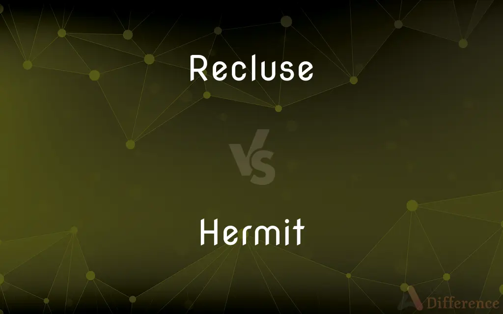 Recluse vs. Hermit — What's the Difference?