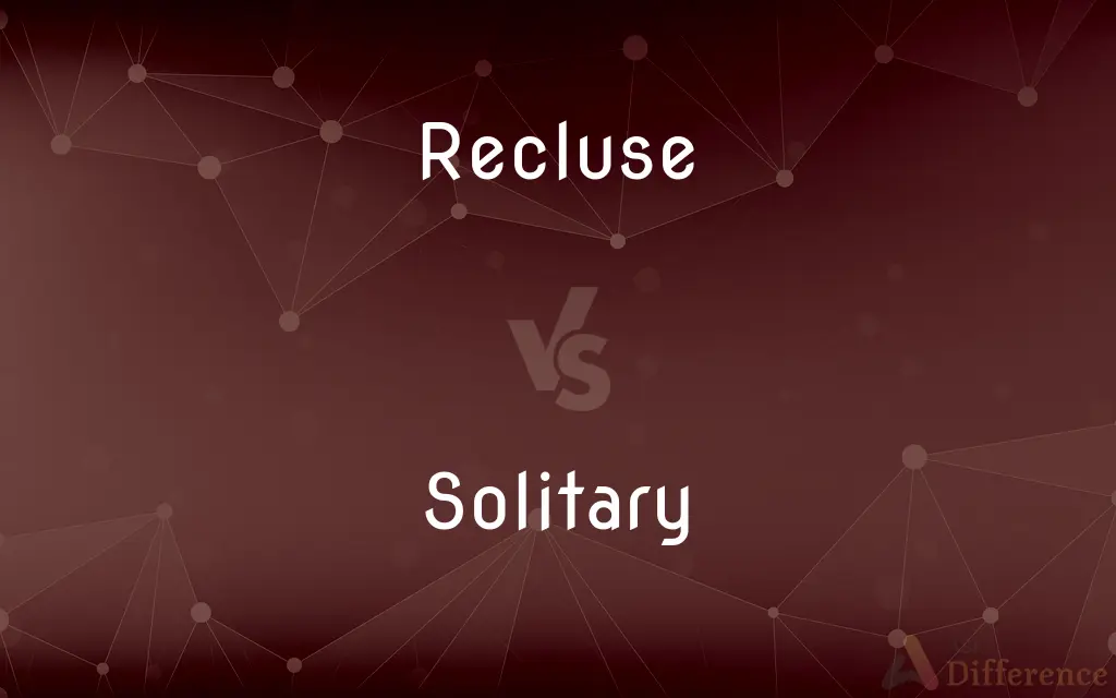 Recluse vs. Solitary — What's the Difference?