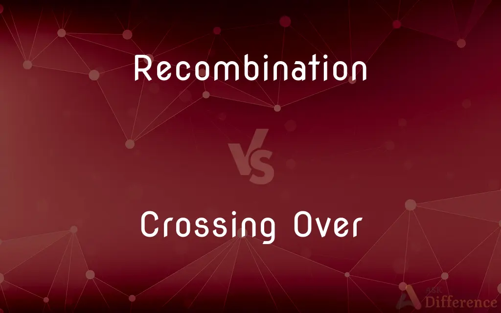 Recombination vs. Crossing Over — What's the Difference?