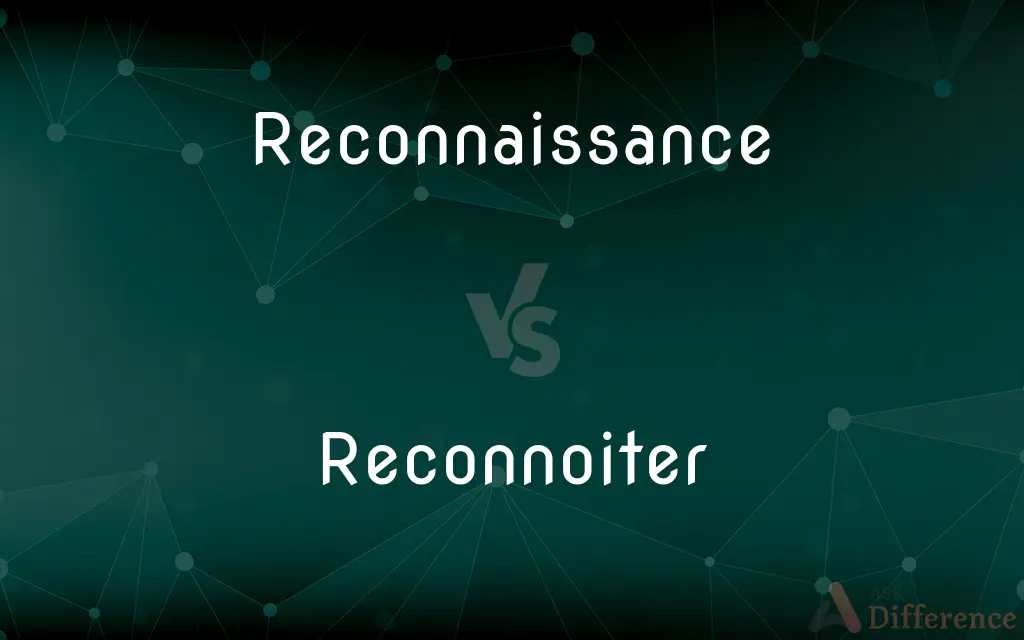 Reconnaissance vs. Reconnoiter — What's the Difference?