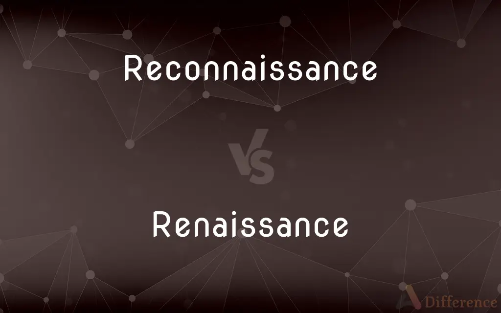 Reconnaissance vs. Renaissance — What's the Difference?
