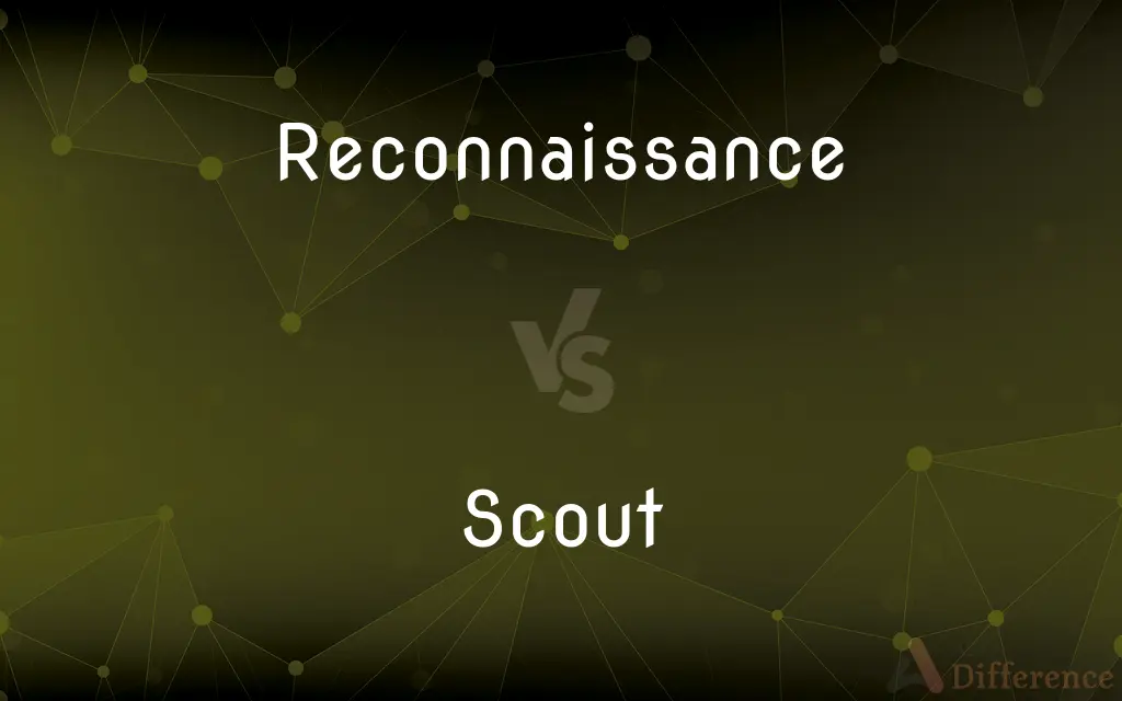 Reconnaissance vs. Scout — What's the Difference?