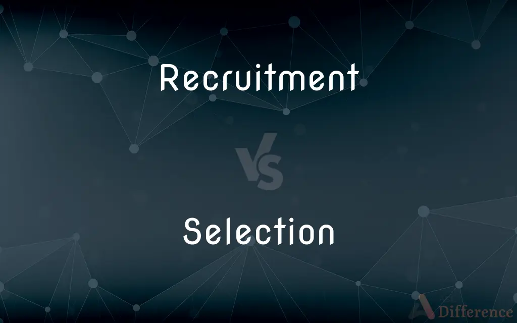 Recruitment vs. Selection — What's the Difference?