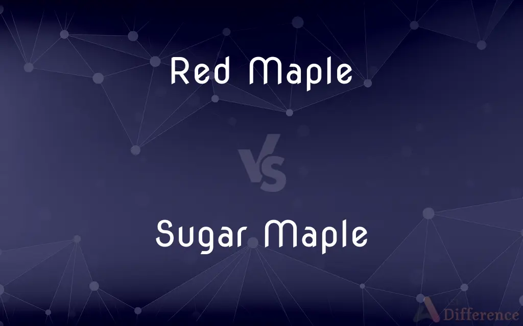 Red Maple vs. Sugar Maple — What's the Difference?