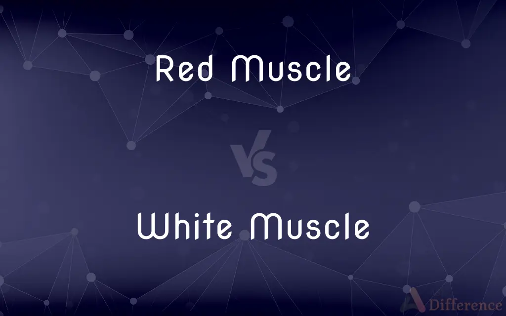 Red Muscle vs. White Muscle — What's the Difference?