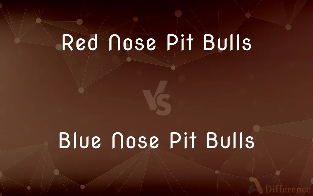 Red Nose Pit Bulls vs. Blue Nose Pit Bulls — What's the Difference?