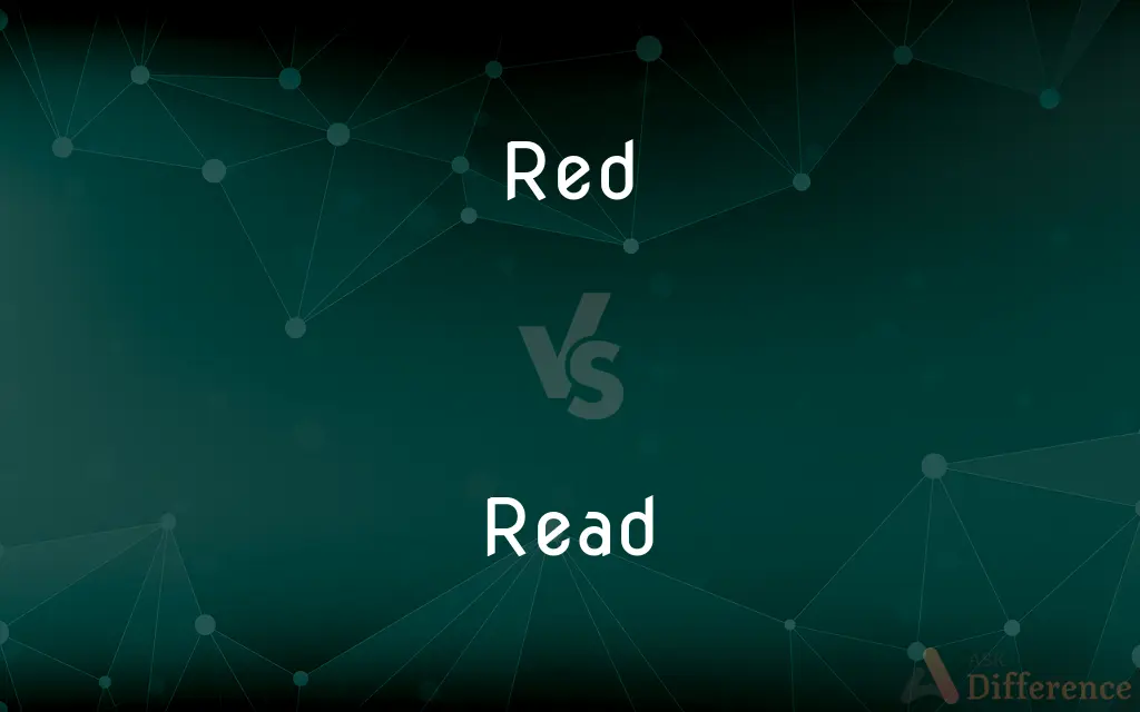Red vs. Read — What's the Difference?