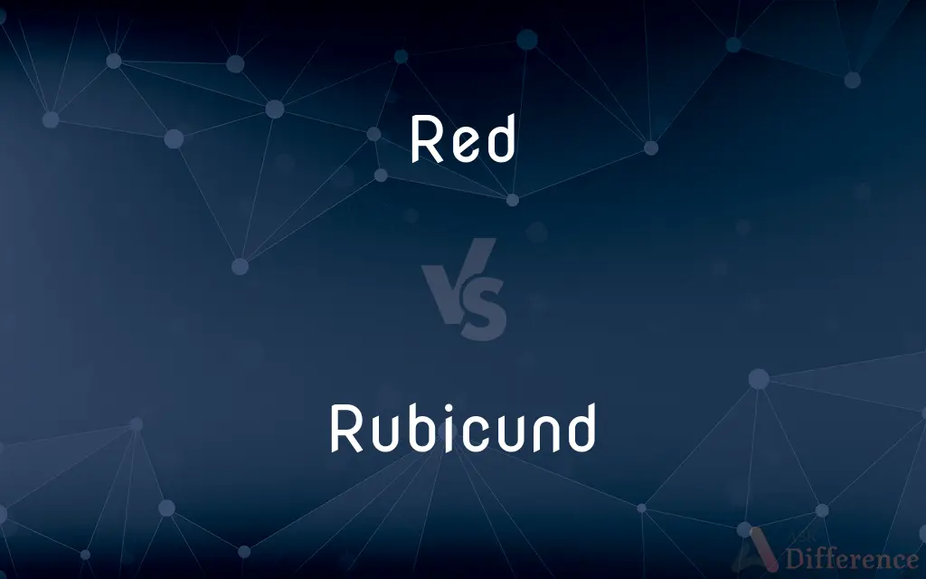Red vs. Rubicund — What's the Difference?