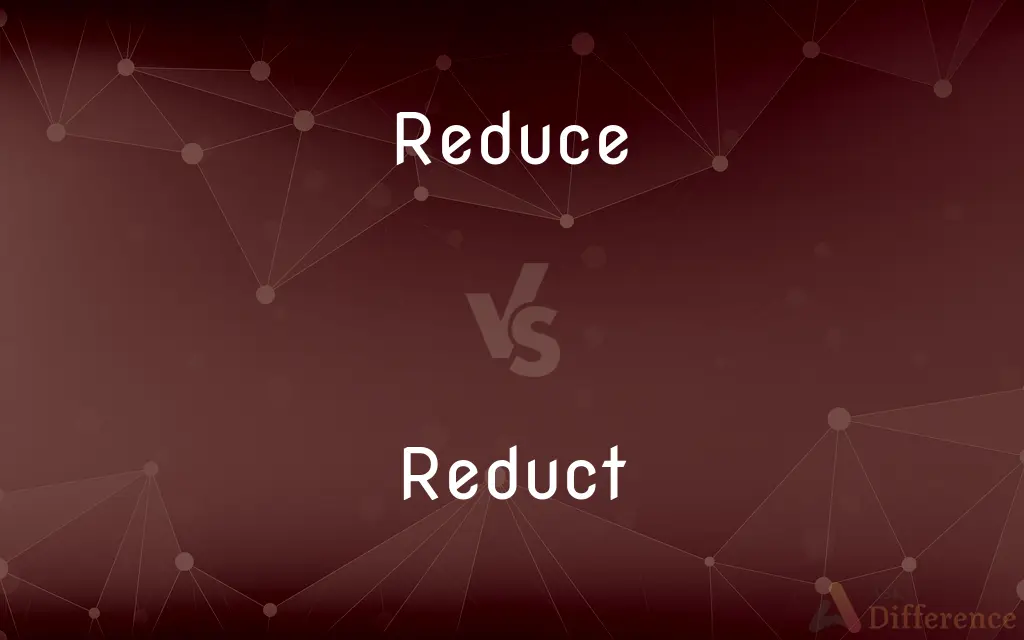 Reduce vs. Reduct — Which is Correct Spelling?