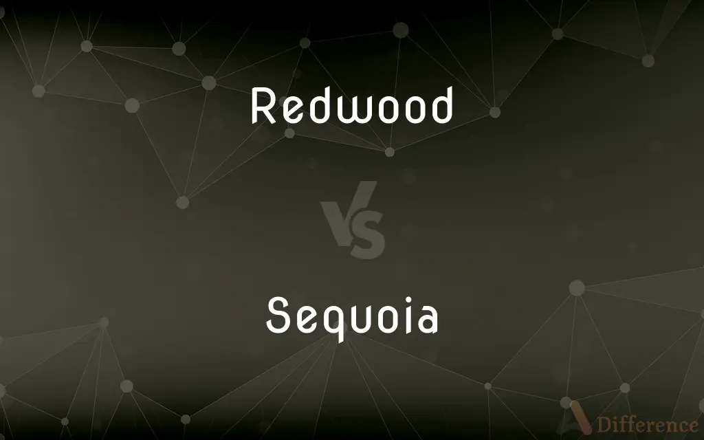 Redwood vs. Sequoia — What's the Difference?