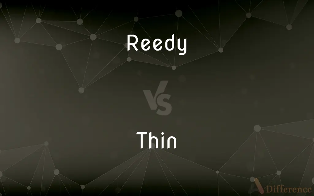 Reedy vs. Thin — What's the Difference?