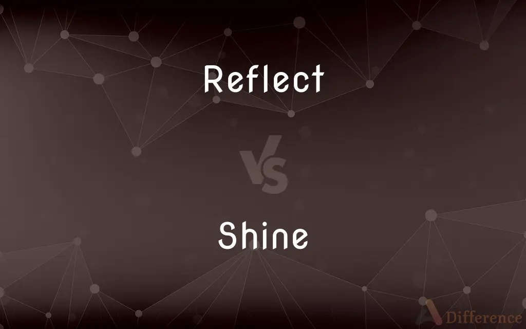 Reflect vs. Shine — What's the Difference?
