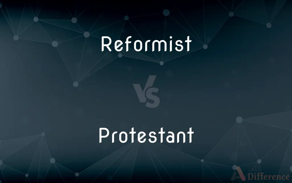 Reformist vs. Protestant — What's the Difference?