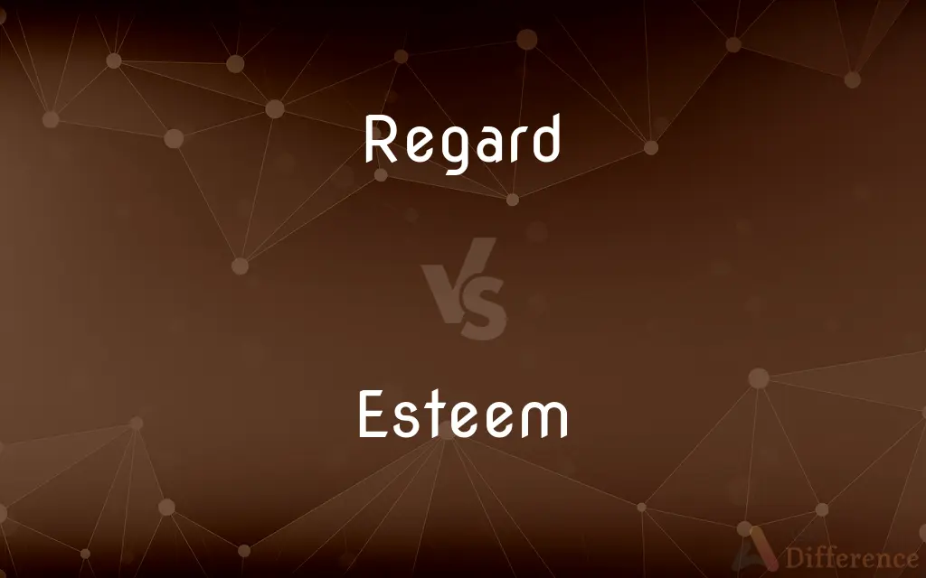 Regard vs. Esteem — What's the Difference?