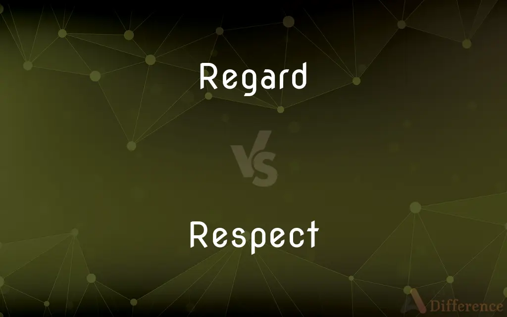 Regard vs. Respect — What's the Difference?