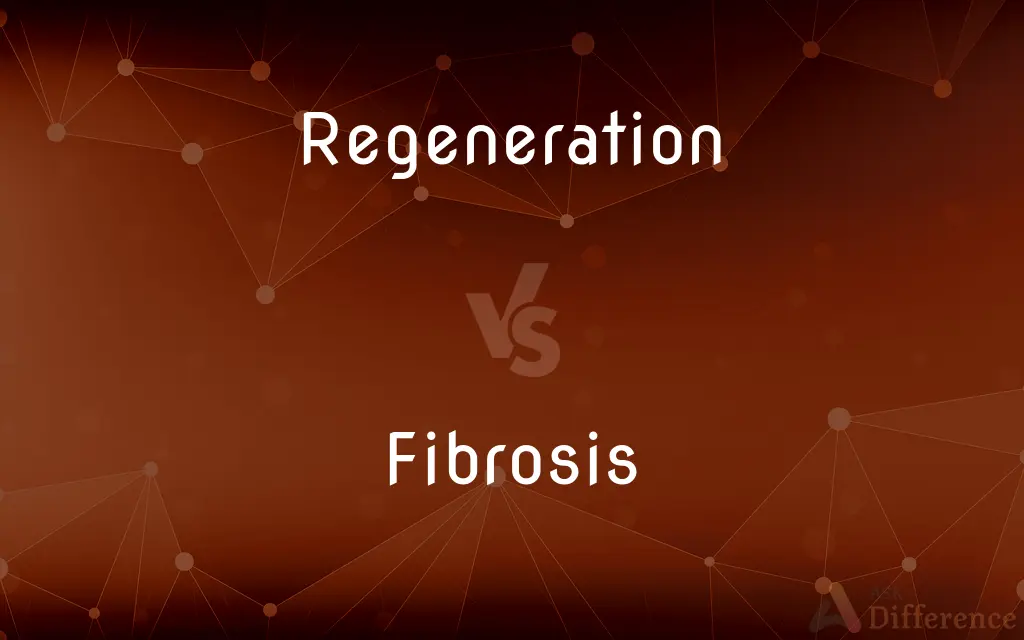 Regeneration vs. Fibrosis — What's the Difference?
