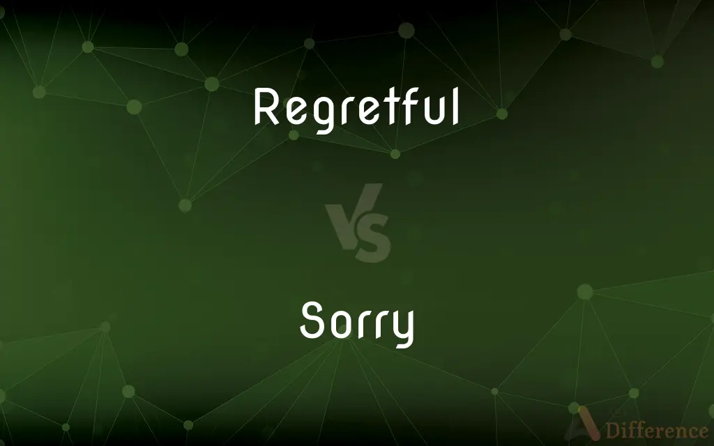 Regretful vs. Sorry — What's the Difference?