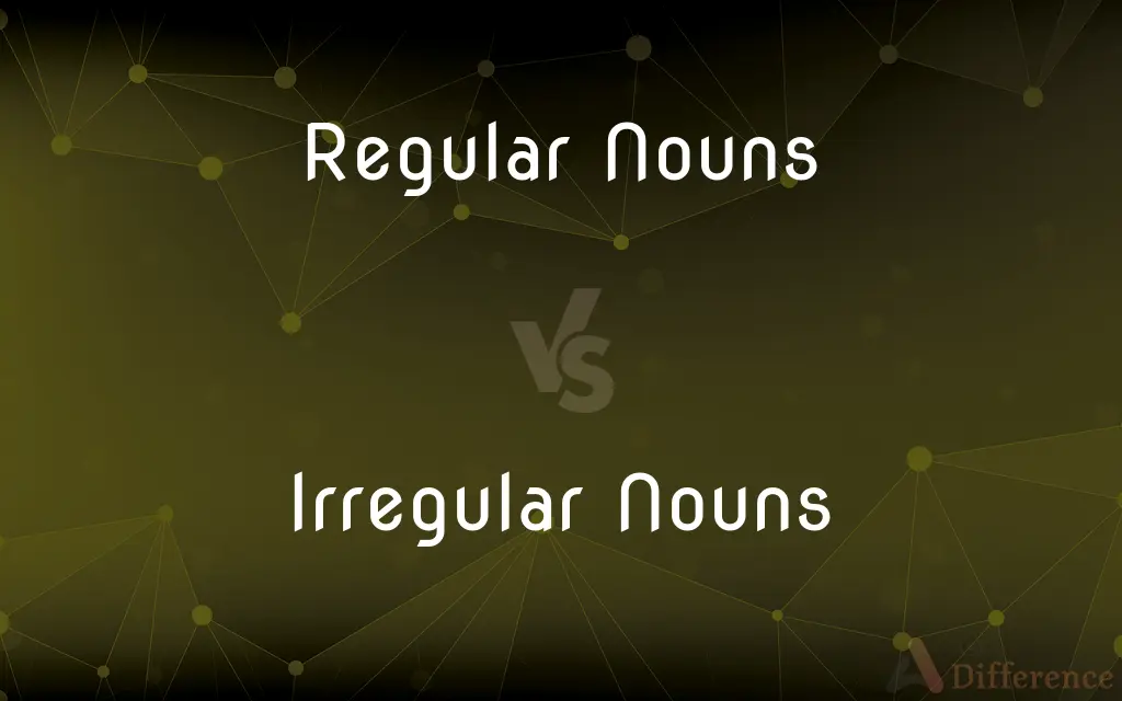 Regular Nouns vs. Irregular Nouns — What's the Difference?