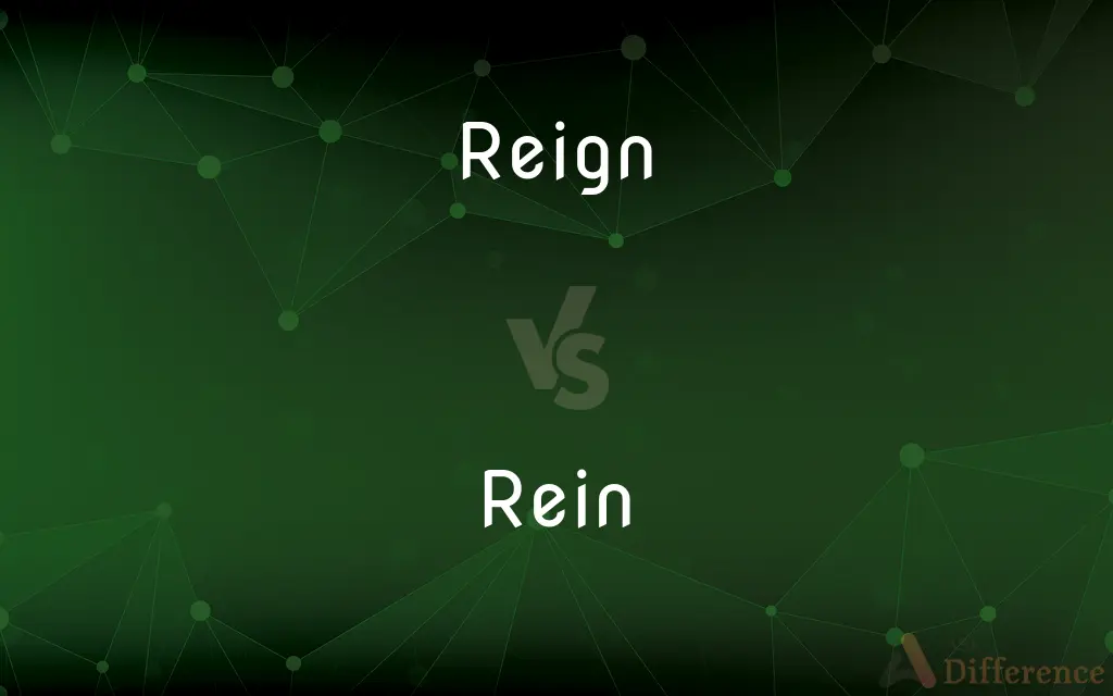 Reign vs. Rein — What's the Difference?