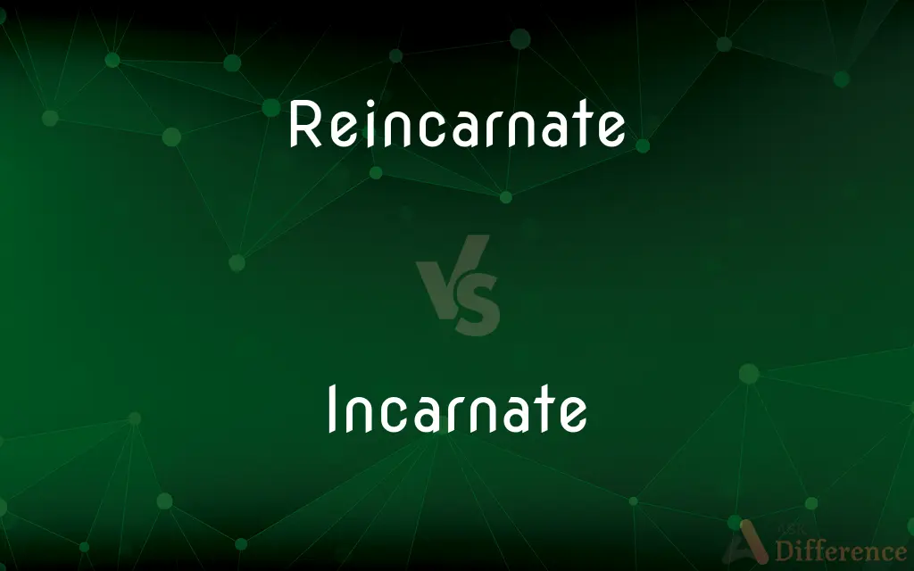 Reincarnate vs. Incarnate — What's the Difference?