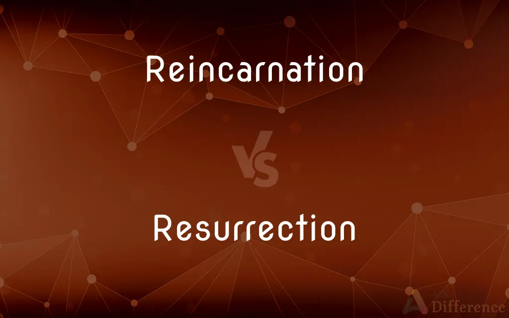Reincarnation vs. Resurrection — What's the Difference?
