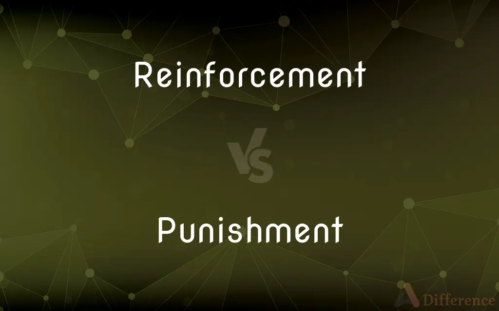 Reinforcement vs. Punishment — What's the Difference?