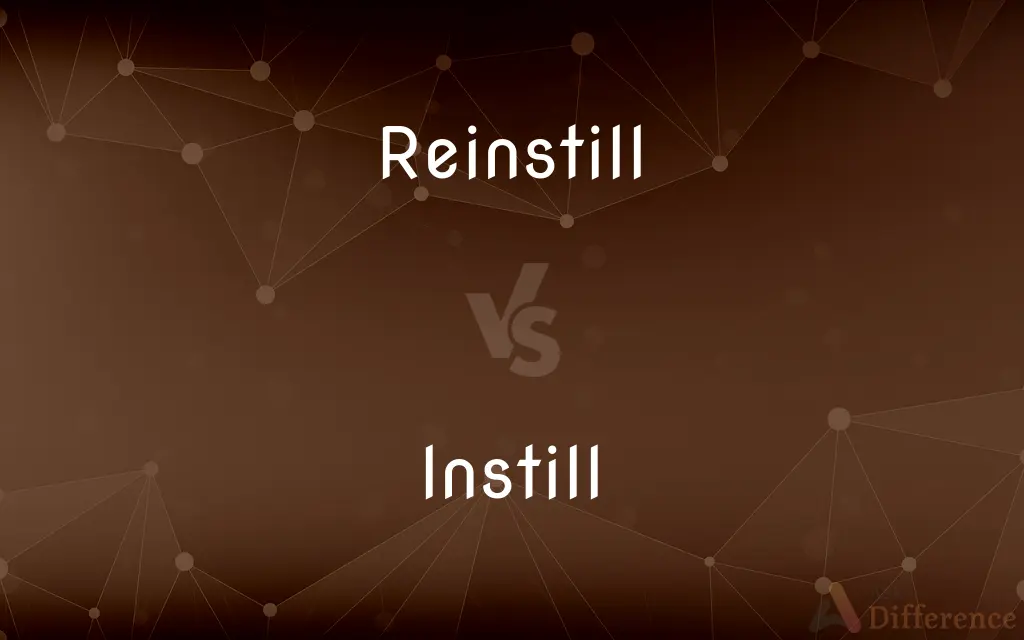 Reinstill vs. Instill — What's the Difference?