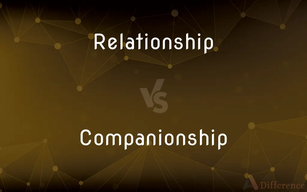 Relationship vs. Companionship — What's the Difference?