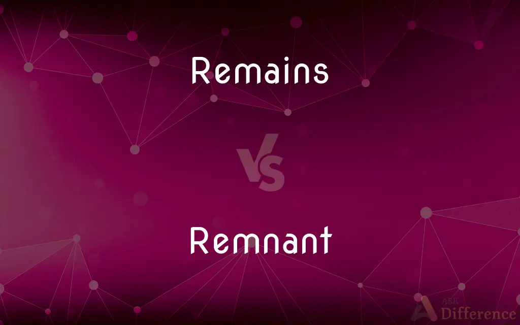 Remains vs. Remnant — What's the Difference?