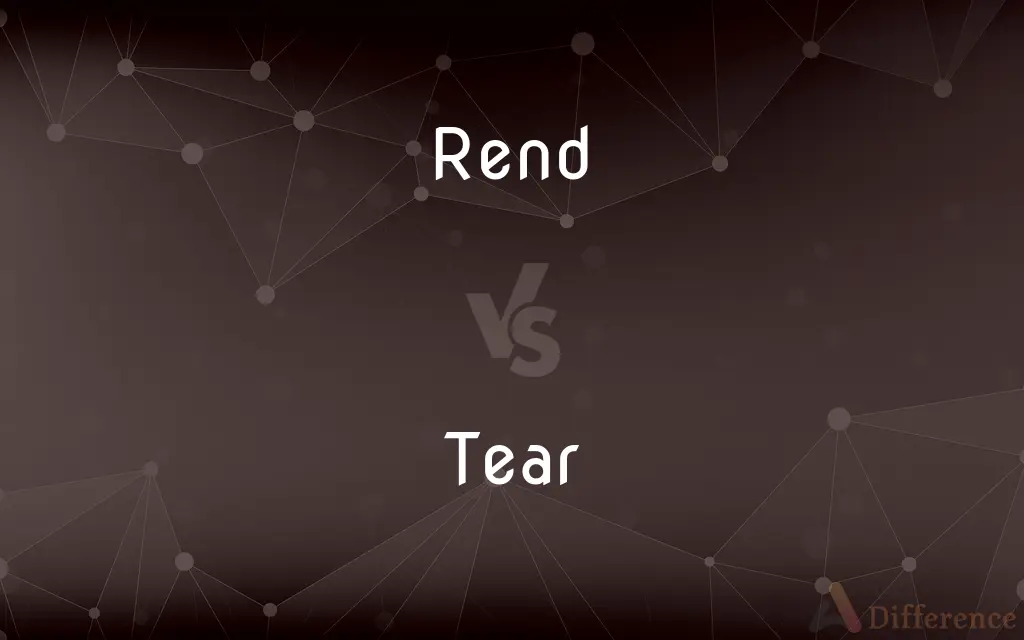 Rend vs. Tear — What's the Difference?