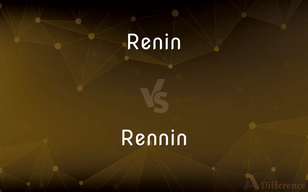 Renin vs. Rennin — What's the Difference?