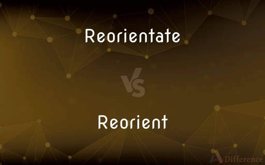 Reorientate vs. Reorient — What's the Difference?