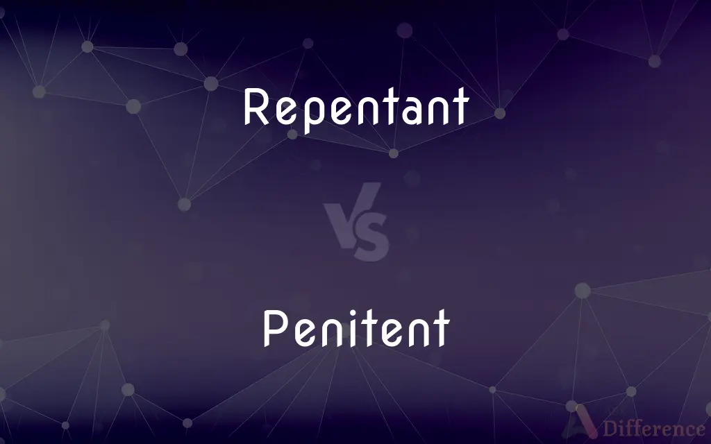 Repentant vs. Penitent — What's the Difference?