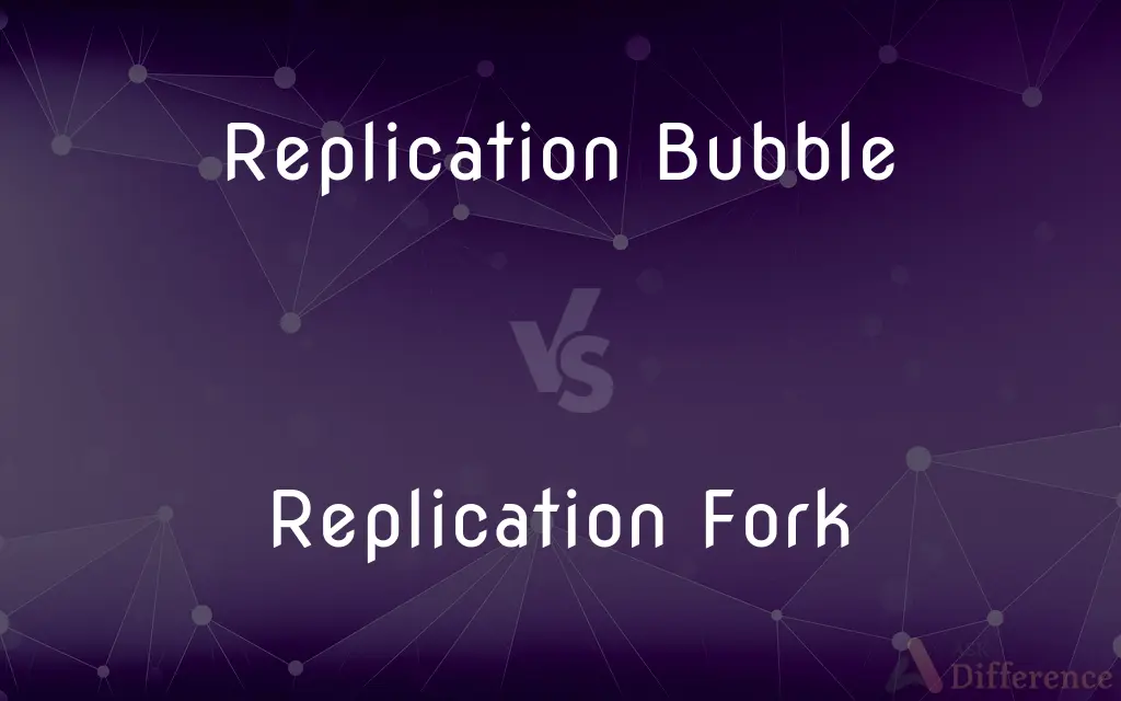 Replication Bubble vs. Replication Fork — What's the Difference?